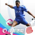 Vive Le Football Logo