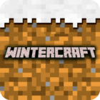 Winter Craft Logo